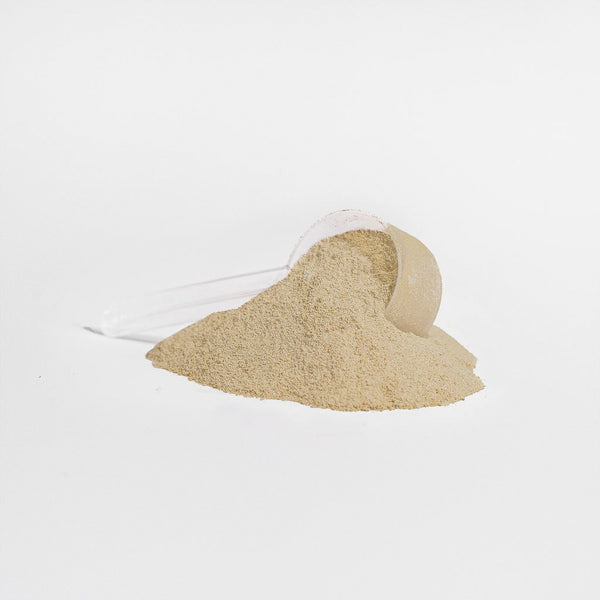 Whey Protein Isolate – Goût Vanille NutraSphere