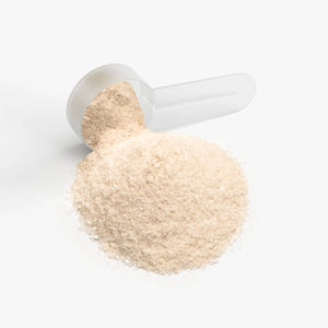 Hydration Powder – Lemonade NutraSphere